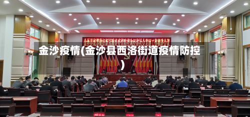 金沙疫情(金沙县西洛街道疫情防控)