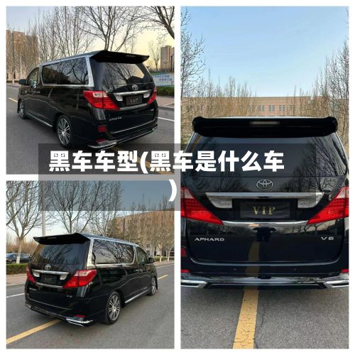 黑车车型(黑车是什么车)-第2张图片