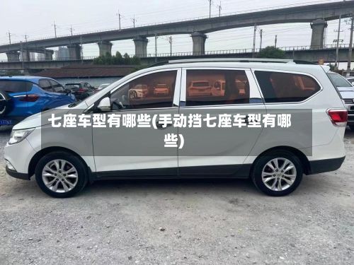 七座车型有哪些(手动挡七座车型有哪些)