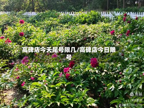 高碑店今天尾号限几/高碑店今日限号