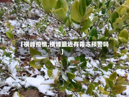 【横峰疫情,横峰最近有霜冻预警吗】