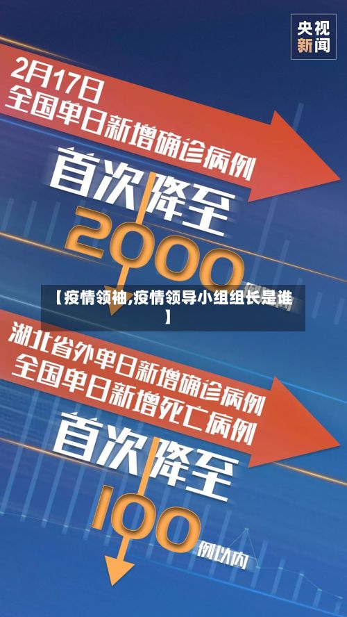【疫情领袖,疫情领导小组组长是谁】-第3张图片