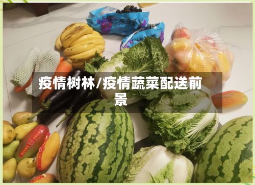 疫情树林/疫情蔬菜配送前景