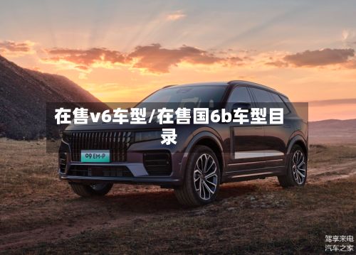 在售v6车型/在售国6b车型目录