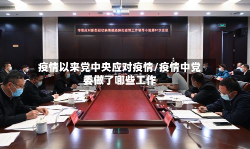 疫情以来党中央应对疫情/疫情中党委做了哪些工作