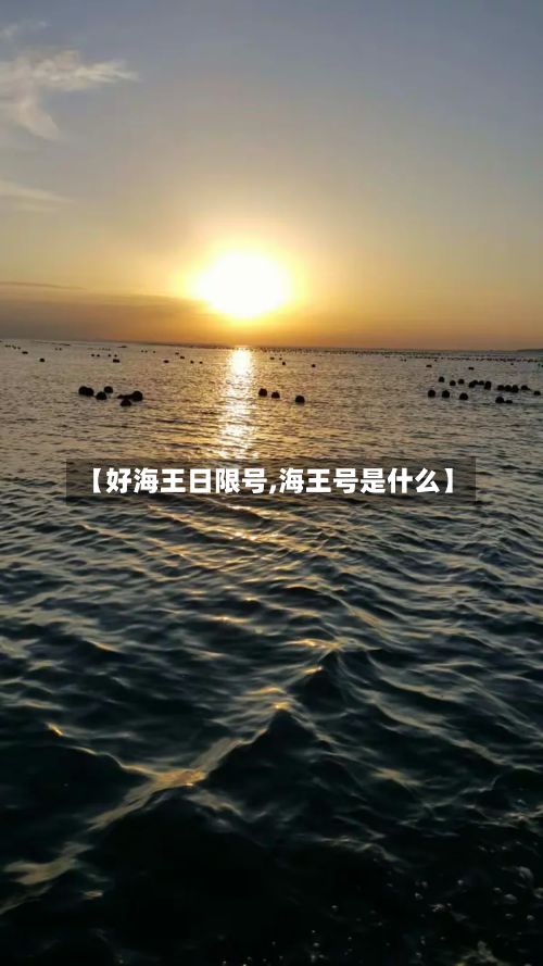 【好海王日限号,海王号是什么】-第2张图片