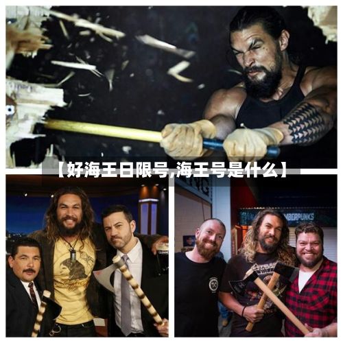 【好海王日限号,海王号是什么】