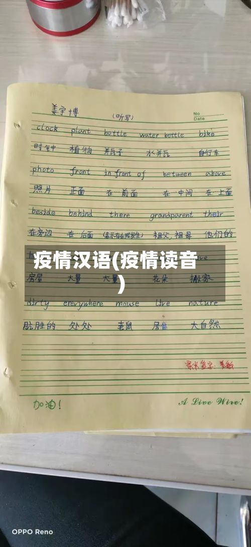 疫情汉语(疫情读音)-第2张图片