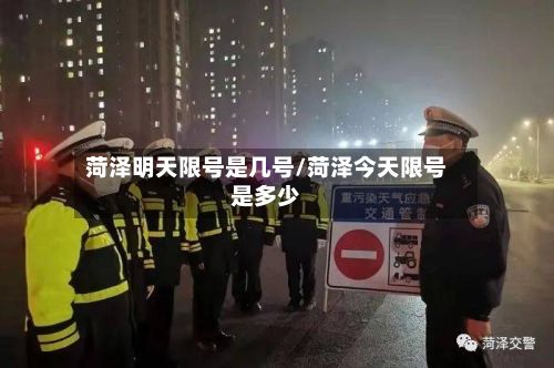菏泽明天限号是几号/菏泽今天限号是多少-第3张图片