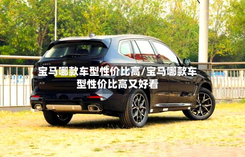 宝马哪款车型性价比高/宝马哪款车型性价比高又好看