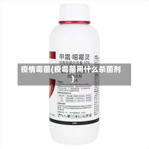 疫情霉菌(疫霉菌用什么杀菌剂)