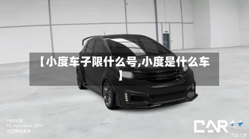 【小度车子限什么号,小度是什么车】-第2张图片