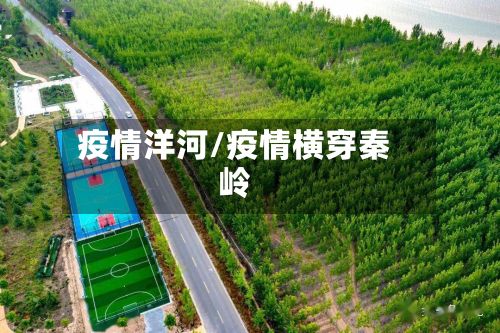 疫情洋河/疫情横穿秦岭