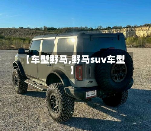 【车型野马,野马suv车型】