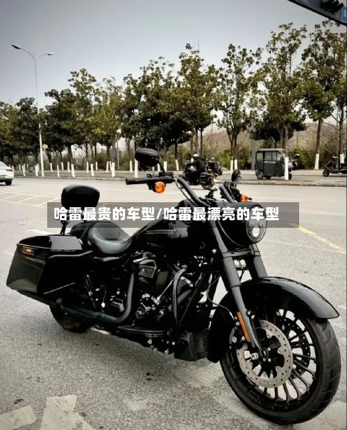 哈雷最贵的车型/哈雷最漂亮的车型