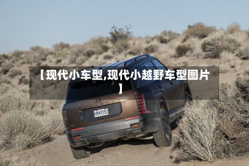 【现代小车型,现代小越野车型图片】-第3张图片