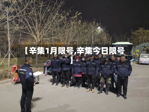 【辛集1月限号,辛集今日限号】