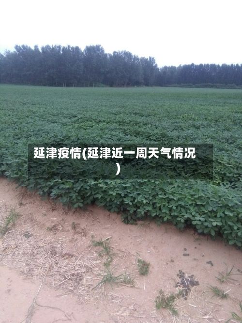 延津疫情(延津近一周天气情况)-第2张图片