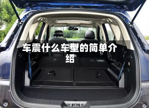 车震什么车型的简单介绍-第2张图片