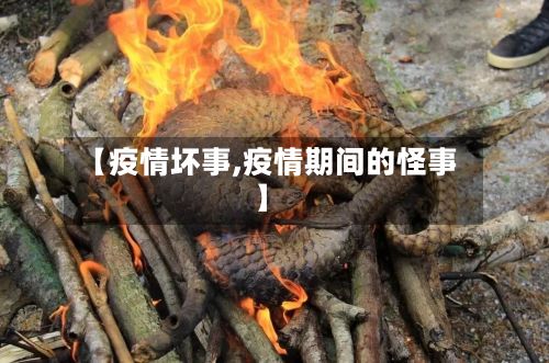【疫情坏事,疫情期间的怪事】