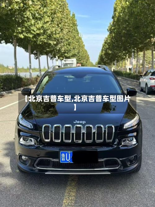 【北京吉普车型,北京吉普车型图片】