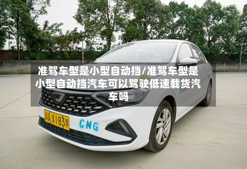 准驾车型是小型自动挡/准驾车型是小型自动挡汽车可以驾驶低速载货汽车吗-第2张图片