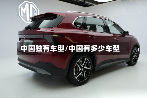 中国独有车型/中国有多少车型