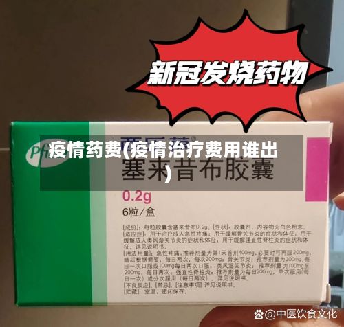 疫情药费(疫情治疗费用谁出)-第2张图片