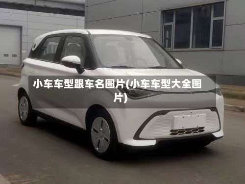 小车车型跟车名图片(小车车型大全图片)
