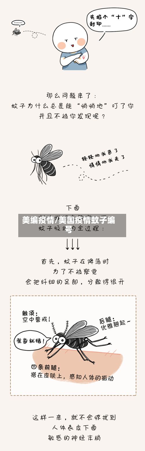 美编疫情/美国疫情蚊子编号-第3张图片