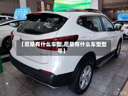【尼桑有什么车型,尼桑有什么车型型号】