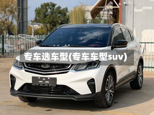专车选车型(专车车型suv)-第3张图片