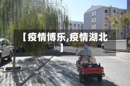 【疫情博乐,疫情湖北】