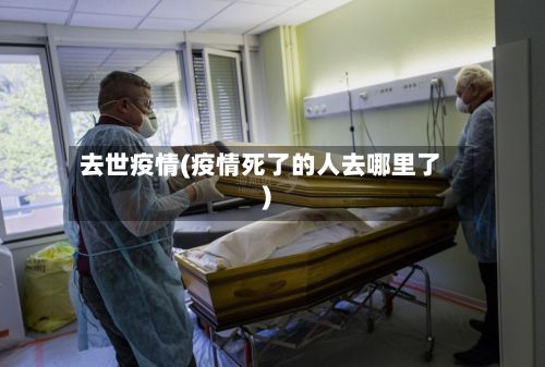去世疫情(疫情死了的人去哪里了)