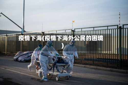 疫情下海(疫情下海外公民的困境)