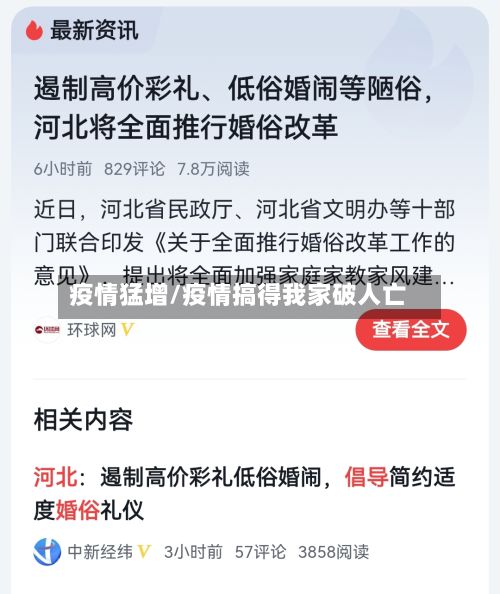 疫情猛增/疫情搞得我家破人亡-第3张图片