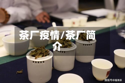 茶厂疫情/茶厂简介-第2张图片