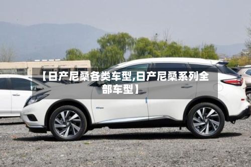 【日产尼桑各类车型,日产尼桑系列全部车型】