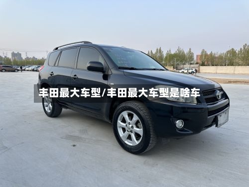 丰田最大车型/丰田最大车型是啥车