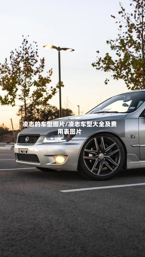 凌志的车型图片/凌志车型大全及费用表图片