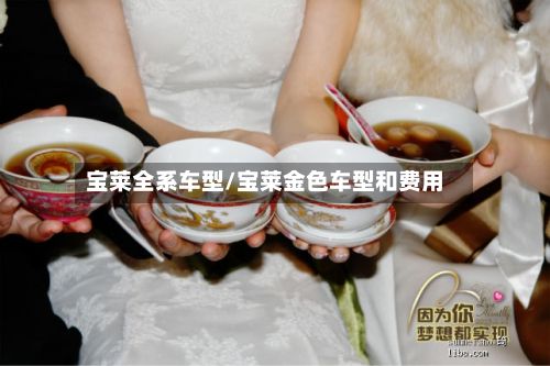 宝莱全系车型/宝莱金色车型和费用-第3张图片