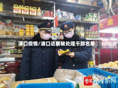 浦口疫情/浦口近期被处理干部名单-第2张图片