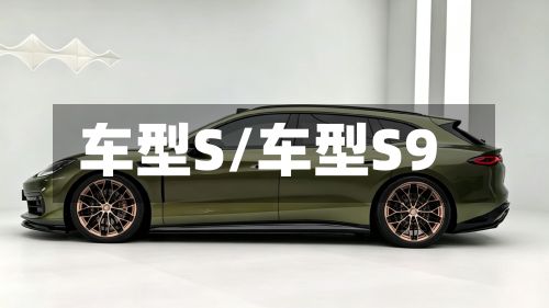 车型S/车型S9