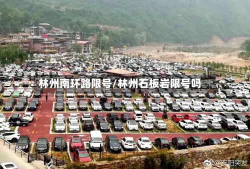 林州南环路限号/林州石板岩限号吗-第2张图片