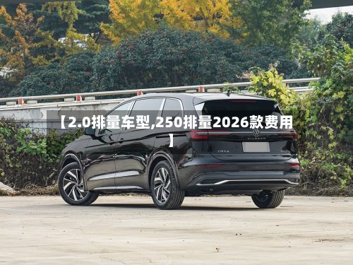 【2.0排量车型,250排量2026款费用】-第3张图片