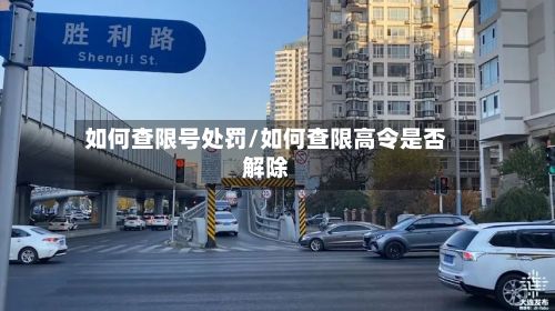 如何查限号处罚/如何查限高令是否解除-第2张图片
