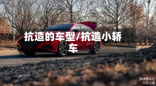 抗造的车型/抗造小轿车-第3张图片