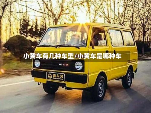 小黄车有几种车型/小黄车是哪种车-第3张图片