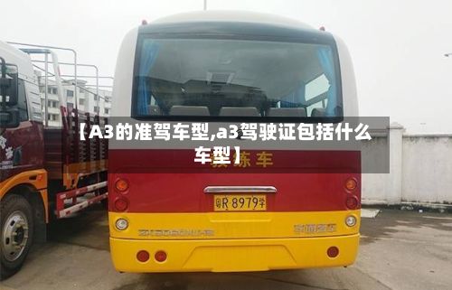 【A3的准驾车型,a3驾驶证包括什么车型】