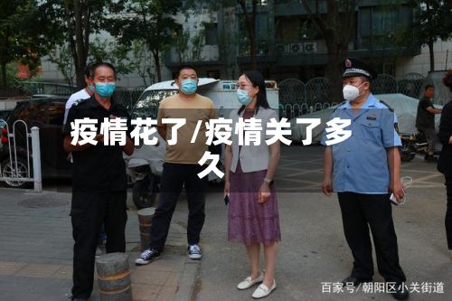 疫情花了/疫情关了多久